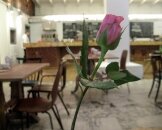 Ideal Gurmanization: Maria Kuzmina speaks about the cafe in “Gogol-center”